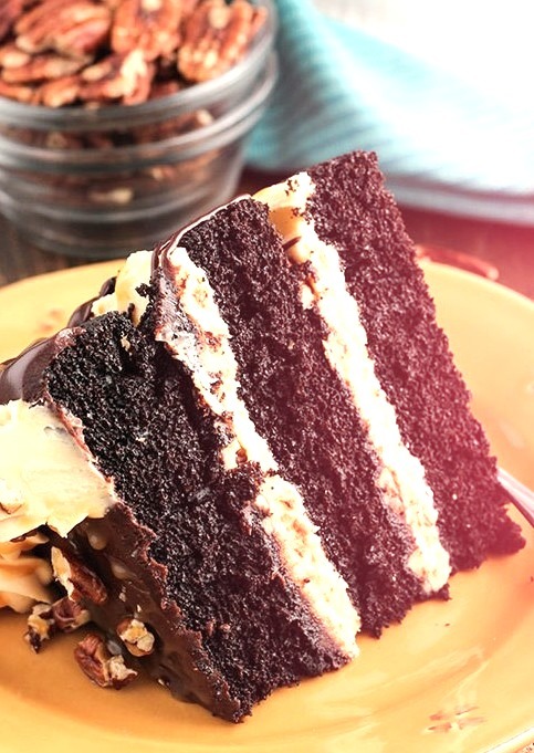 Turtle chocolate layer cake